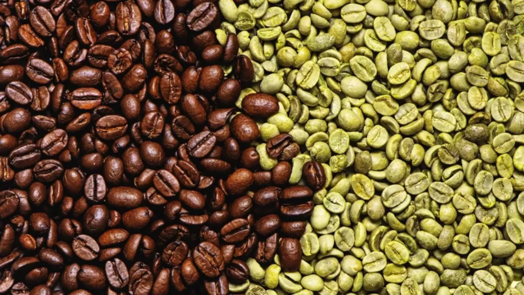 Café vert et acide chlorogénique