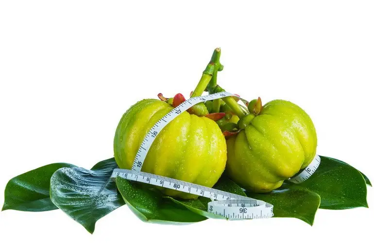 Garcinia cambogia