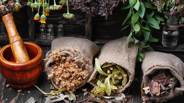 Phytothérapie pour perdre du poids