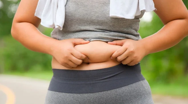 Système rénine-angiotensine et tissu adipeux