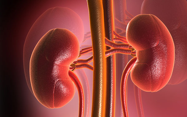 nephropathie diabetique